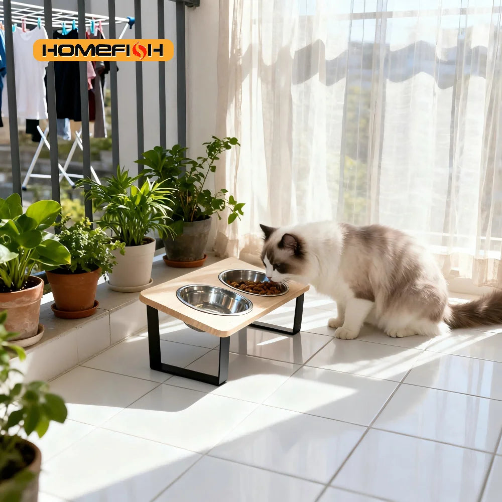 Elevated Tilted Cat Bowl Set